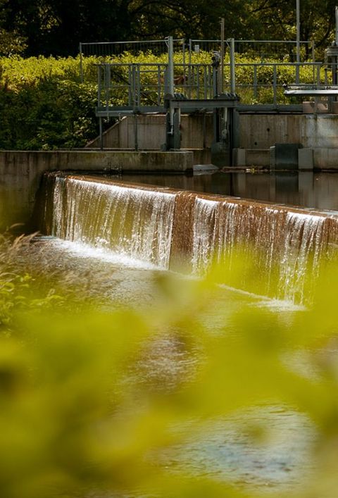 Ein kleines Wasserkraftwerk von naturenergie im Wiesental, bei dem Wasser über eine niedrige Staumauer fließt. Umgeben von grüner Vegetation und Bäumen