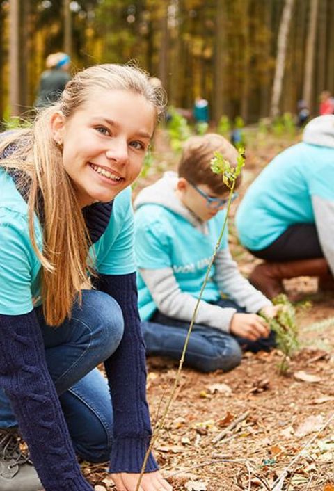 Freiwillige Kinder pflanzen Bäume am Waldrand in herbstlicher Stimmung.