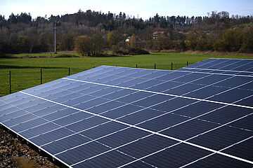 Große Photovoltaikanlage auf einer grünen Wiese mit Bäumen im Hintergrund.