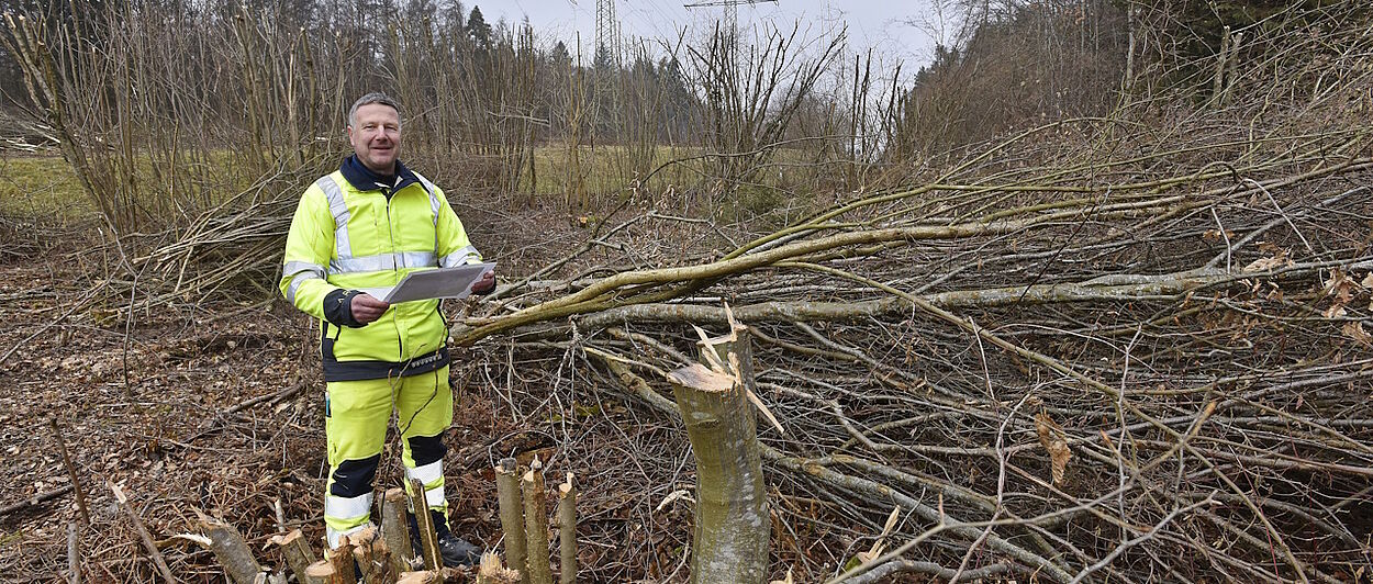 Mann steht im Baumschnitt