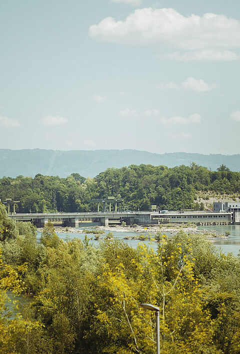Kraftwerk Rheinfelden mit Bäumen im Vordergrund und blauem Himmel