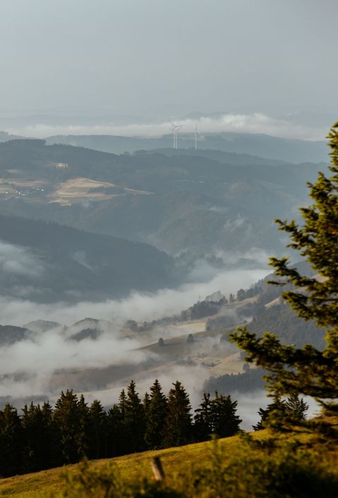 ine nebelverhangene Landschaft in den Hügeln des Schwarzwaldes, mit dichten Wäldern und verstreuten Feldern. Der Nebel zieht durch die Täler und verleiht der Szene eine mystische Atmosphäre