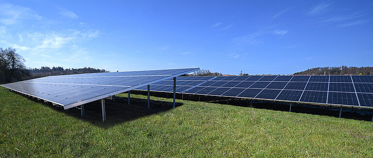 Freiflächen-Solaranlage auf einer grünen Wiese mit blauem Himmel.