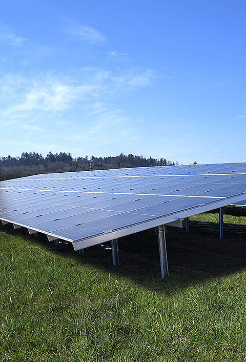 Freiflächen-Solaranlage auf einer grünen Wiese mit blauem Himmel.