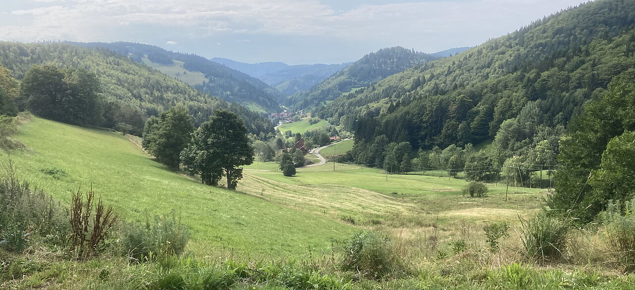 ED Netze investiert in Neuenweg