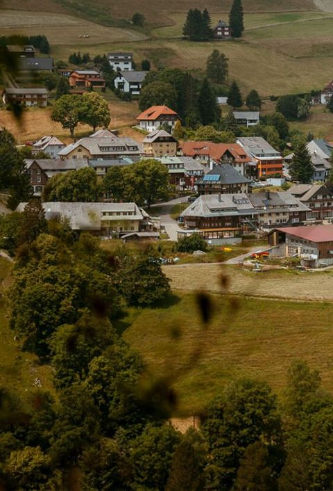 malerische Dorflandschaft des Wiesentals mit zahlreichen Häusern, die sich über sanfte Hügel erstrecken. Die Häuser sind von grünen Wiesen und Bäumen umgeben. Im Vordergrund sind einige Kühe auf einer Weide zu sehen. Der Himmel ist bewölkt