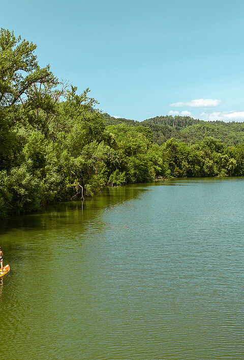 Großer Fluss mit grünem Wald, an dessen Flussrand eine Frau mit SUP-Board auf dem Wasser steht