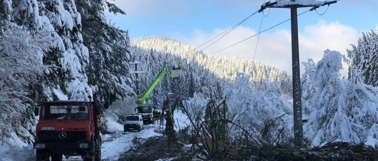 Wintereinsatz ED Netze in Hammereisenbach
